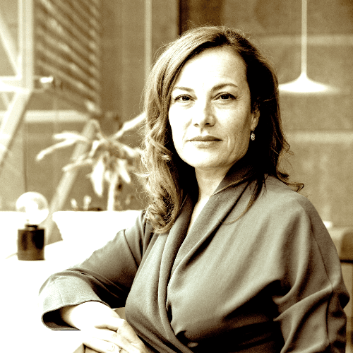 Silvia Palma Ferreira