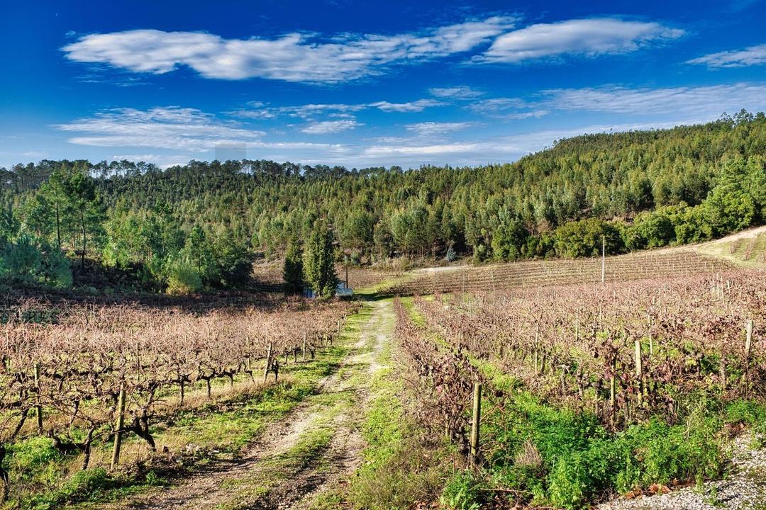 Ourém, Nossa Senhora Misericórdias