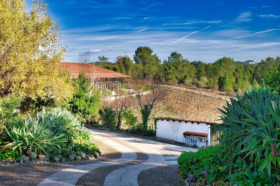 Ourém, Nossa Senhora Misericórdias