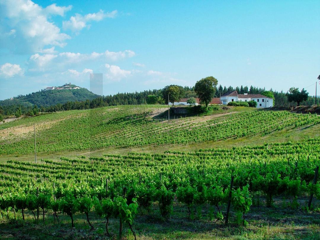 Ourém, Nossa Senhora Misericórdias