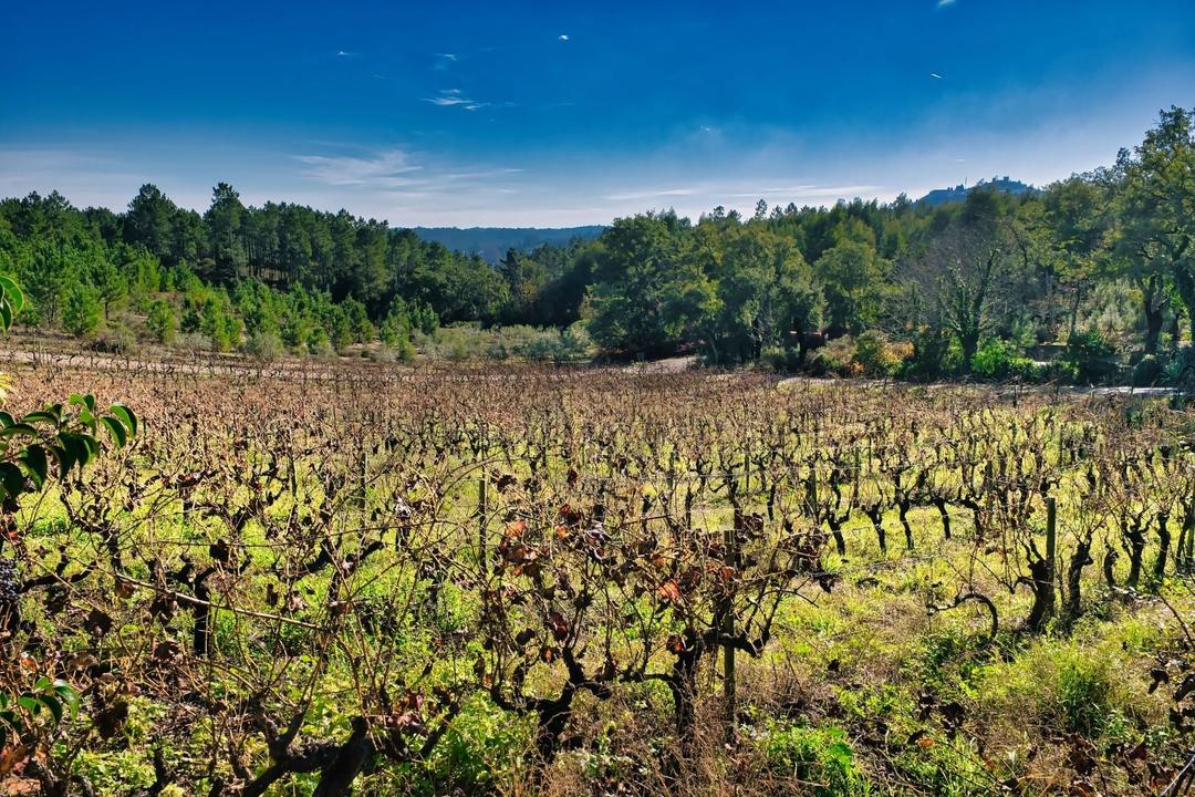 Ourém, Nossa Senhora Misericórdias