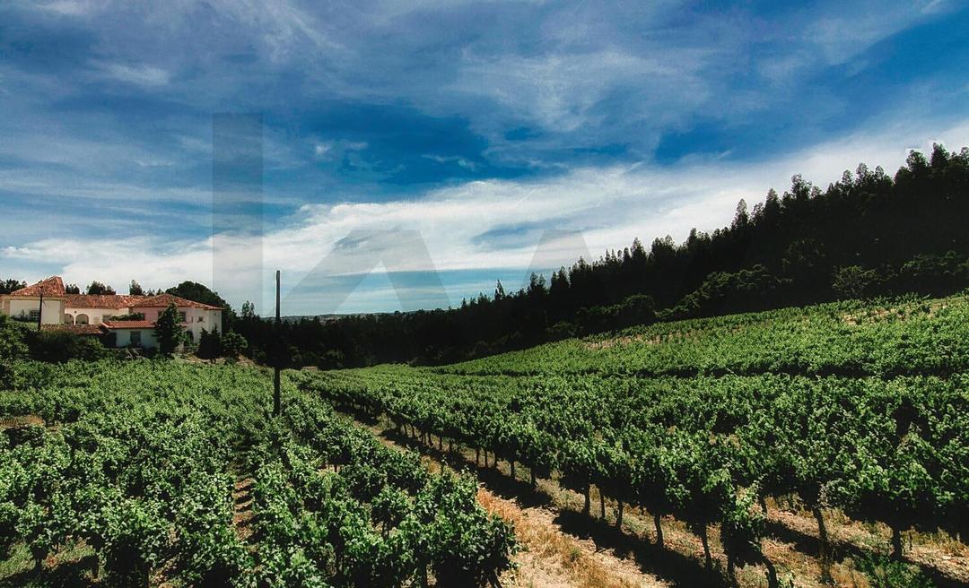 Ourém, Nossa Senhora Misericórdias