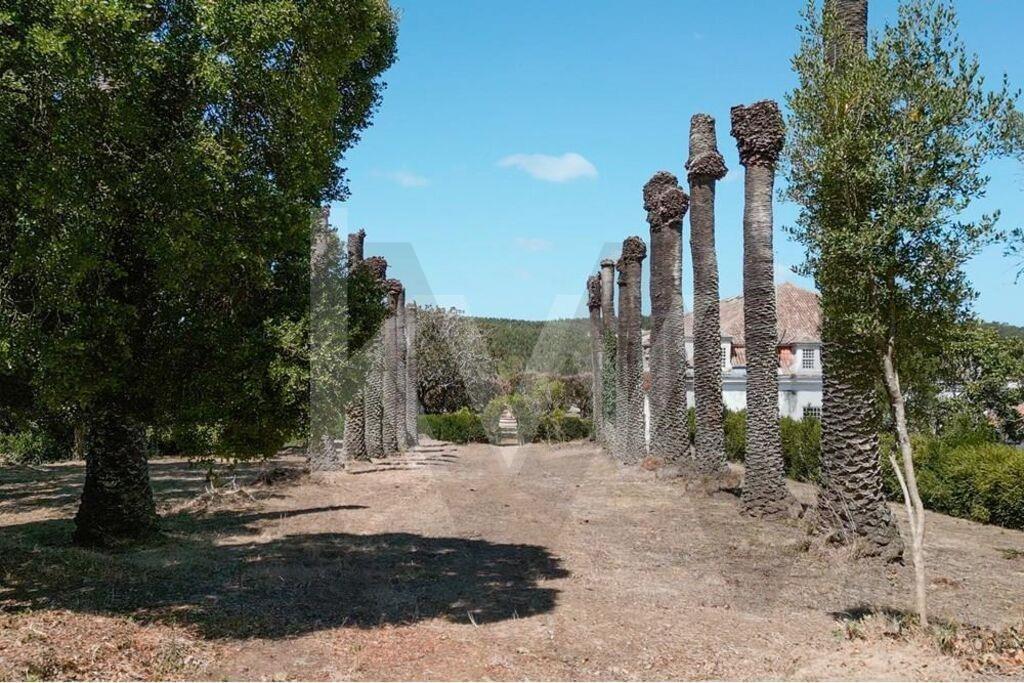 Torres Vedras, Maxial e Monte Redondo