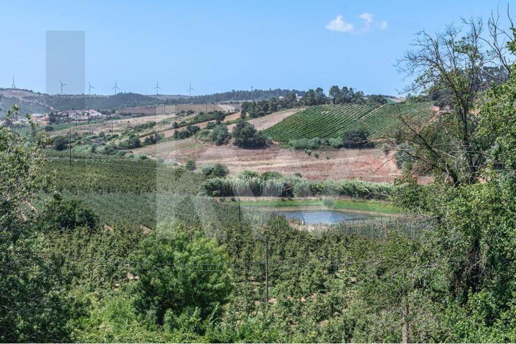 Torres Vedras, Maxial e Monte Redondo