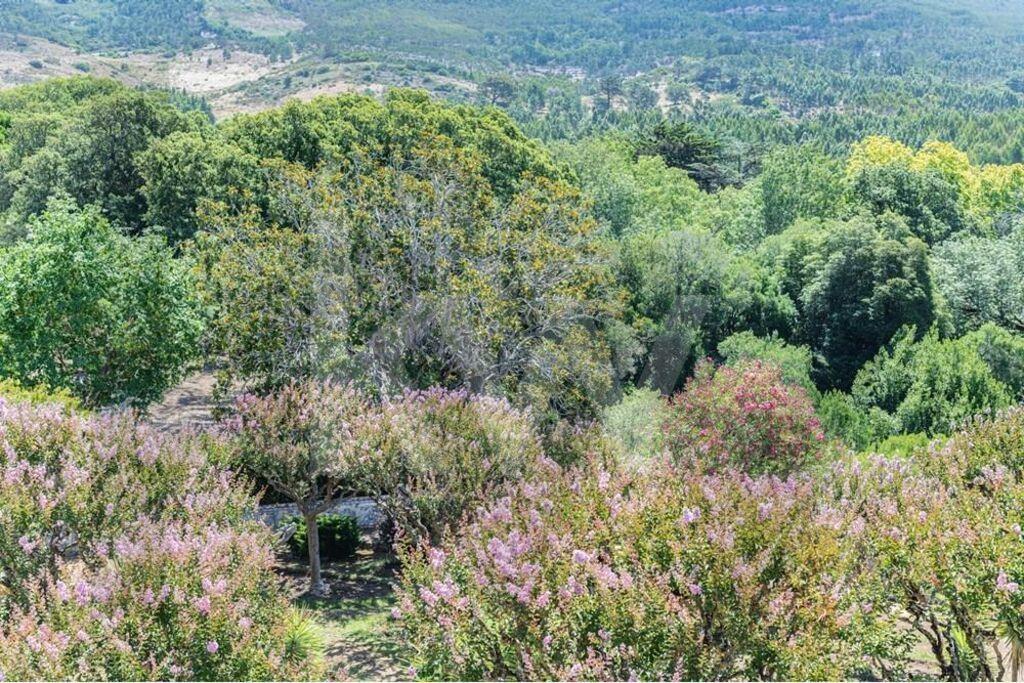 Torres Vedras, Maxial e Monte Redondo