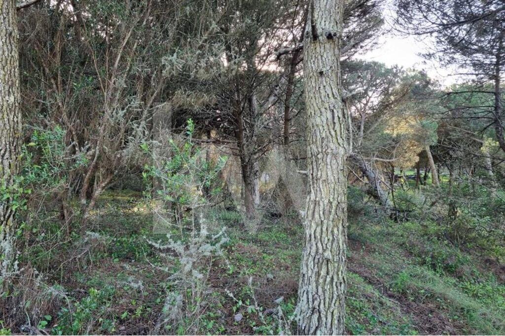 Enterprise Enterprise