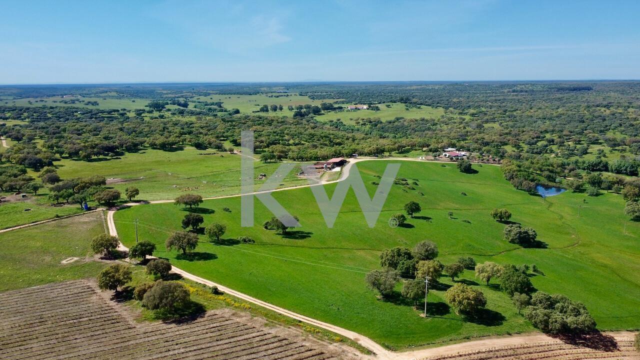 Enterprise Enterprise