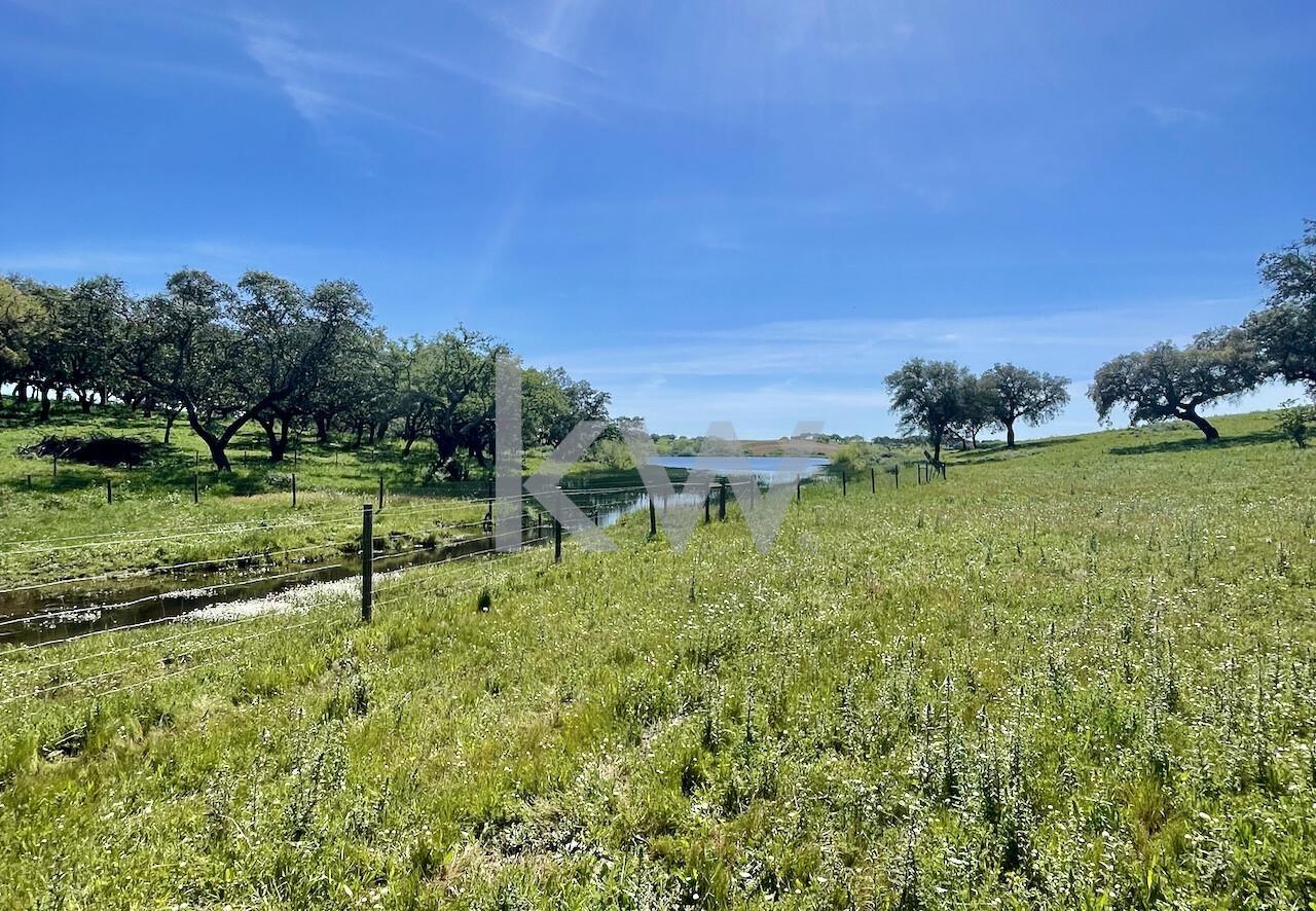 Enterprise Enterprise