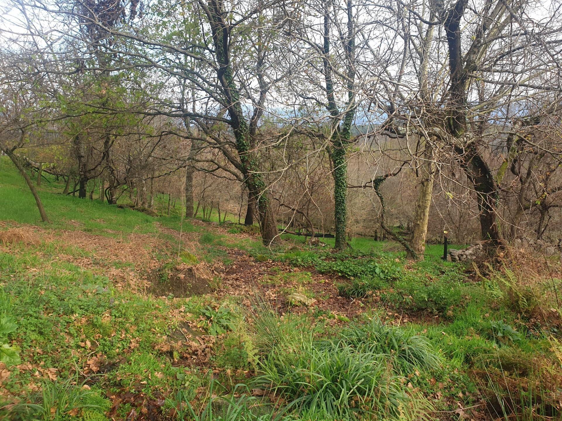 Enterprise Enterprise