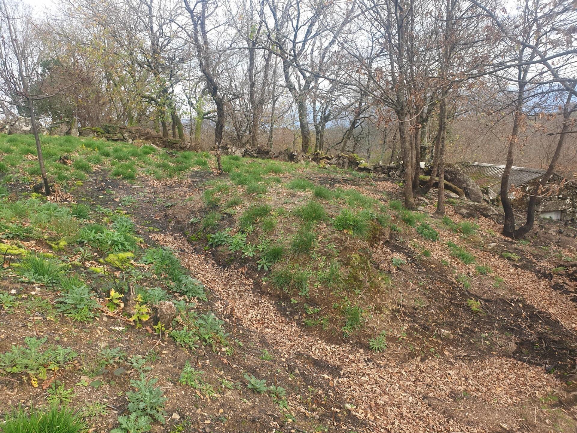 Enterprise Enterprise