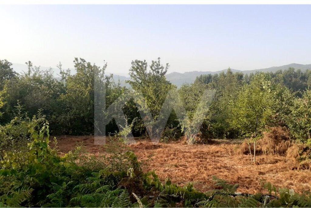 Enterprise Enterprise