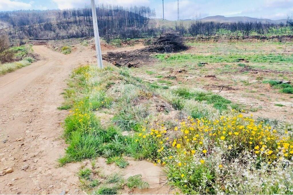 Enterprise Enterprise