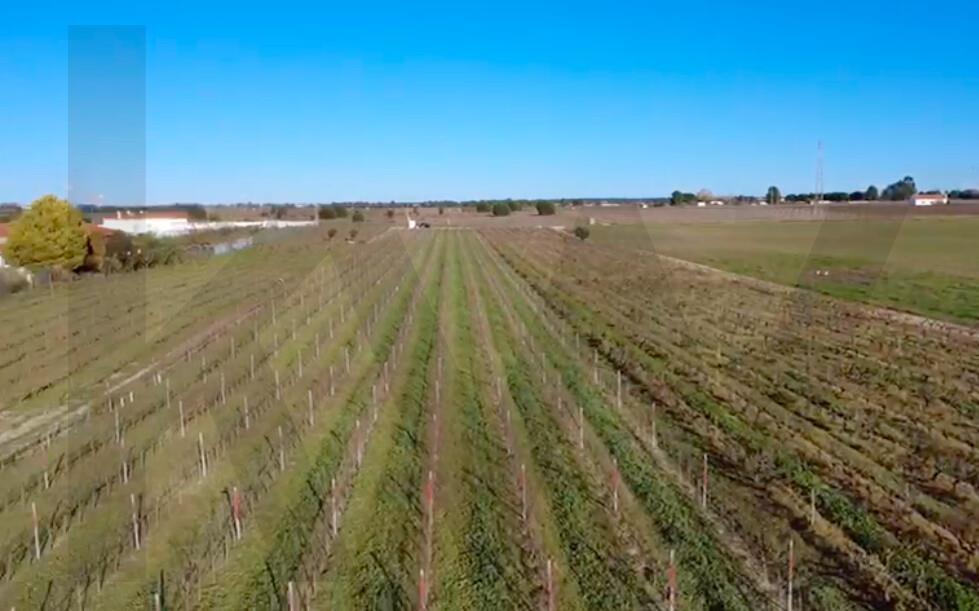 Enterprise Enterprise