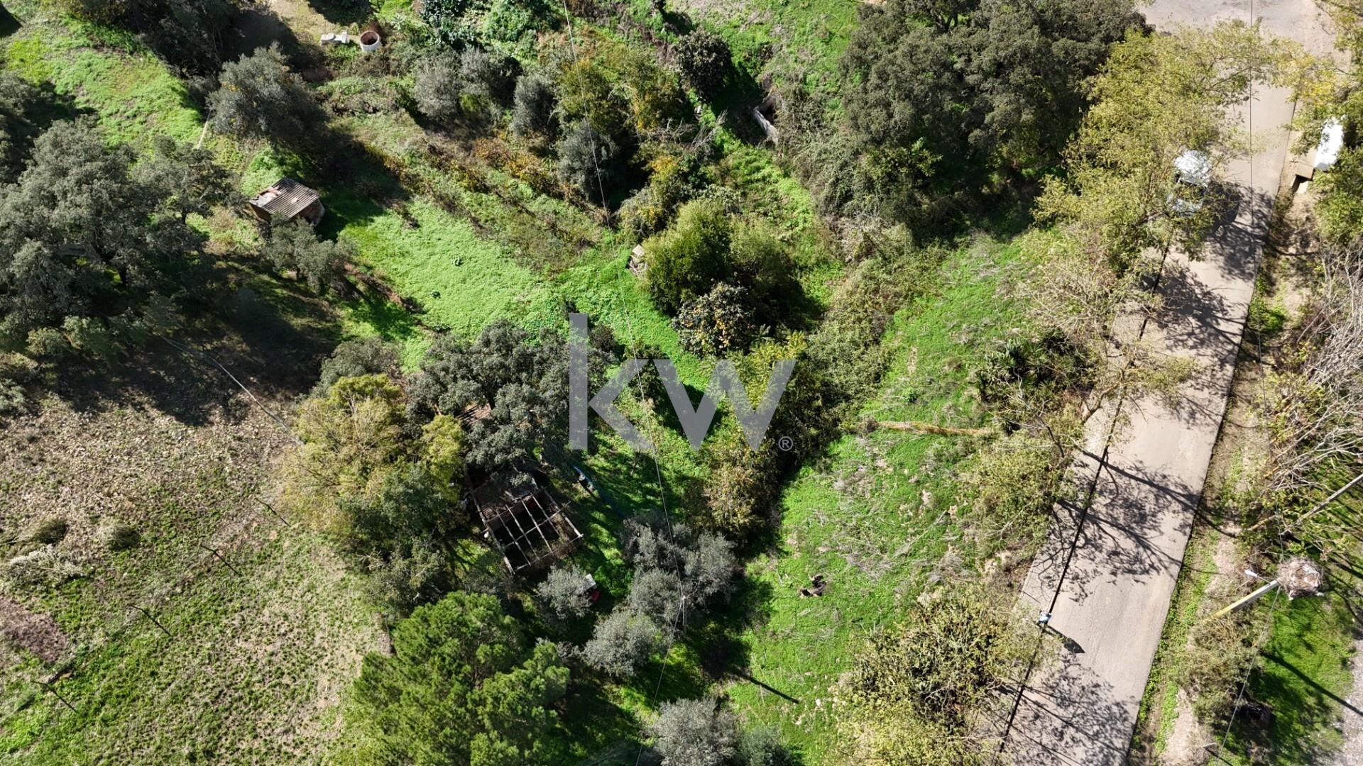 Enterprise Enterprise