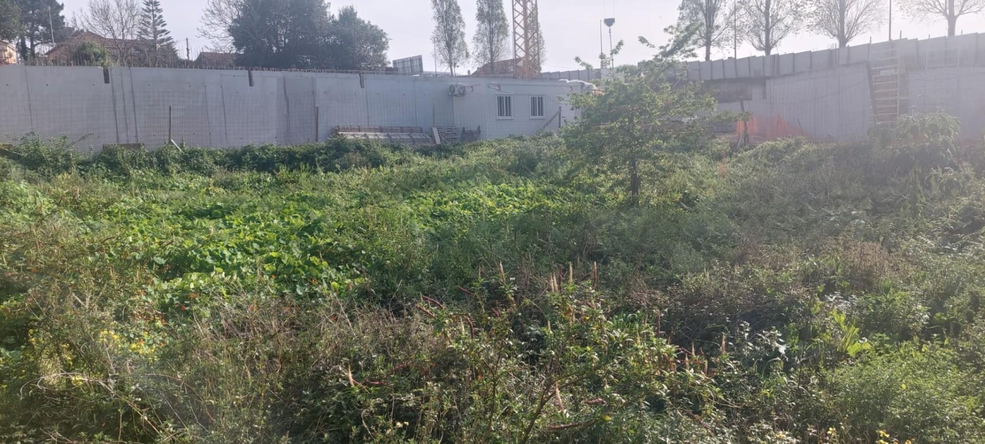 Enterprise Enterprise