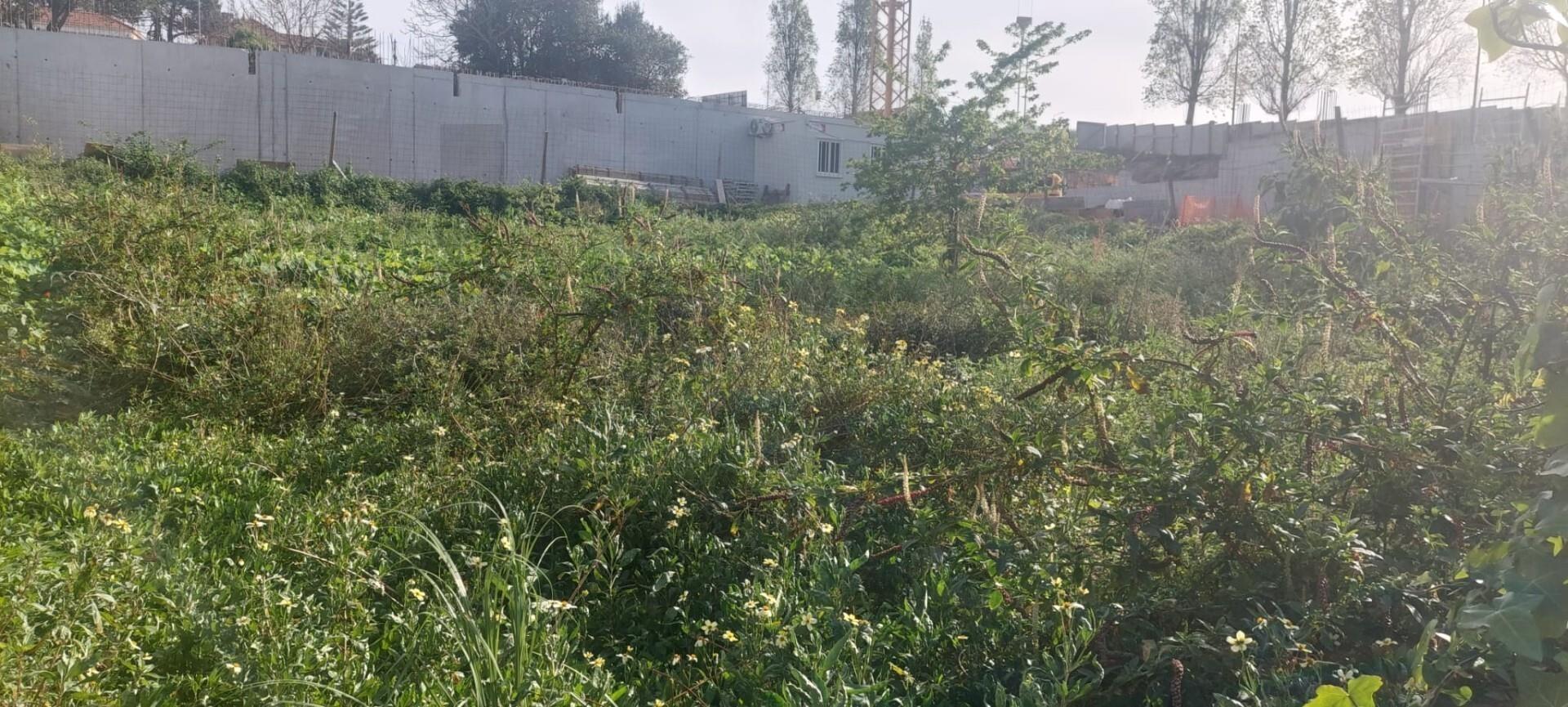 Enterprise Enterprise